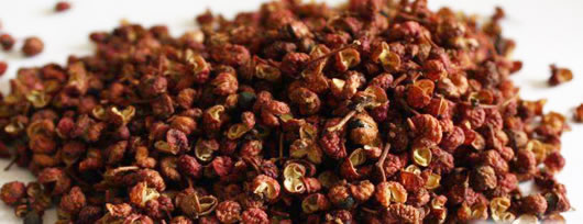 www_shanyaohg_com.xianchuangzhongzi.com